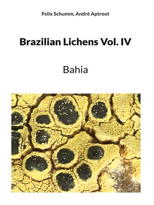 cover image of Brazilian Lichens Volume IV